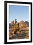 Red Rock Canyon Outside Las Vegas, Nevada, USA-Michael DeFreitas-Framed Photographic Print