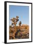 Red Rock Canyon Outside Las Vegas, Nevada, USA-Michael DeFreitas-Framed Photographic Print