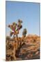 Red Rock Canyon Outside Las Vegas, Nevada, USA-Michael DeFreitas-Mounted Photographic Print