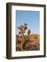 Red Rock Canyon Outside Las Vegas, Nevada, USA-Michael DeFreitas-Framed Photographic Print