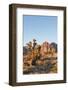 Red Rock Canyon Outside Las Vegas, Nevada, USA-Michael DeFreitas-Framed Photographic Print