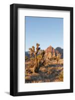 Red Rock Canyon Outside Las Vegas, Nevada, USA-Michael DeFreitas-Framed Photographic Print