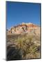 Red Rock Canyon Outside Las Vegas, Nevada, USA-Michael DeFreitas-Mounted Photographic Print