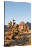 Red Rock Canyon Outside Las Vegas, Nevada, USA-Michael DeFreitas-Stretched Canvas