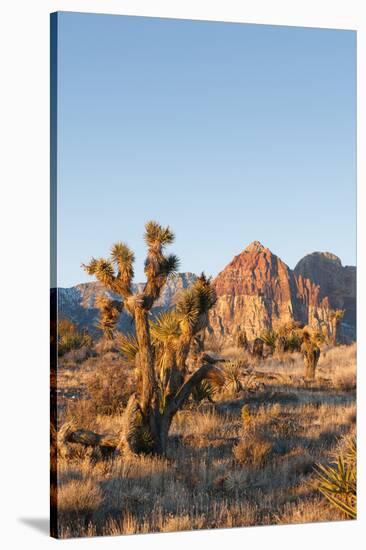 Red Rock Canyon Outside Las Vegas, Nevada, USA-Michael DeFreitas-Stretched Canvas