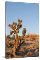 Red Rock Canyon Outside Las Vegas, Nevada, USA-Michael DeFreitas-Stretched Canvas