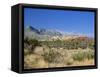 Red Rock Canyon, Spring Mountains, 15 Miles West of Las Vegas in the Mojave Desert, Nevada, USA-Fraser Hall-Framed Stretched Canvas