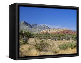 Red Rock Canyon, Spring Mountains, 15 Miles West of Las Vegas in the Mojave Desert, Nevada, USA-Fraser Hall-Framed Stretched Canvas