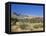 Red Rock Canyon, Spring Mountains, 15 Miles West of Las Vegas in the Mojave Desert, Nevada, USA-Fraser Hall-Framed Stretched Canvas