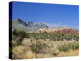 Red Rock Canyon, Spring Mountains, 15 Miles West of Las Vegas in the Mojave Desert, Nevada, USA-Fraser Hall-Stretched Canvas