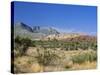 Red Rock Canyon, Spring Mountains, 15 Miles West of Las Vegas in the Mojave Desert, Nevada, USA-Fraser Hall-Stretched Canvas