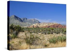 Red Rock Canyon, Spring Mountains, 15 Miles West of Las Vegas in the Mojave Desert, Nevada, USA-Fraser Hall-Stretched Canvas