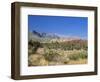 Red Rock Canyon, Spring Mountains, 15 Miles West of Las Vegas in the Mojave Desert, Nevada, USA-Fraser Hall-Framed Photographic Print