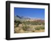 Red Rock Canyon, Spring Mountains, 15 Miles West of Las Vegas in the Mojave Desert, Nevada, USA-Fraser Hall-Framed Photographic Print