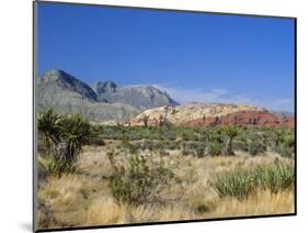 Red Rock Canyon, Spring Mountains, 15 Miles West of Las Vegas in the Mojave Desert, Nevada, USA-Fraser Hall-Mounted Photographic Print