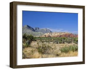 Red Rock Canyon, Spring Mountains, 15 Miles West of Las Vegas in the Mojave Desert, Nevada, USA-Fraser Hall-Framed Photographic Print