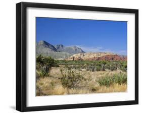 Red Rock Canyon, Spring Mountains, 15 Miles West of Las Vegas in the Mojave Desert, Nevada, USA-Fraser Hall-Framed Photographic Print