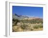 Red Rock Canyon, Spring Mountains, 15 Miles West of Las Vegas in the Mojave Desert, Nevada, USA-Fraser Hall-Framed Photographic Print