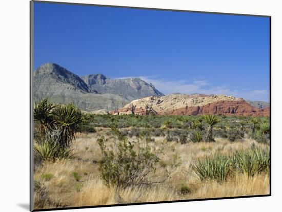Red Rock Canyon, Spring Mountains, 15 Miles West of Las Vegas in the Mojave Desert, Nevada, USA-Fraser Hall-Mounted Photographic Print