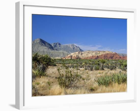 Red Rock Canyon, Spring Mountains, 15 Miles West of Las Vegas in the Mojave Desert, Nevada, USA-Fraser Hall-Framed Photographic Print