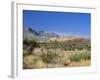 Red Rock Canyon, Spring Mountains, 15 Miles West of Las Vegas in the Mojave Desert, Nevada, USA-Fraser Hall-Framed Photographic Print