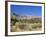 Red Rock Canyon, Spring Mountains, 15 Miles West of Las Vegas in the Mojave Desert, Nevada, USA-Fraser Hall-Framed Photographic Print