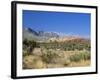 Red Rock Canyon, Spring Mountains, 15 Miles West of Las Vegas in the Mojave Desert, Nevada, USA-Fraser Hall-Framed Photographic Print