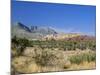 Red Rock Canyon, Spring Mountains, 15 Miles West of Las Vegas in the Mojave Desert, Nevada, USA-Fraser Hall-Mounted Photographic Print