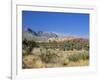 Red Rock Canyon, Spring Mountains, 15 Miles West of Las Vegas in the Mojave Desert, Nevada, USA-Fraser Hall-Framed Photographic Print