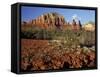 Red Rock Country, Sedona, Arizona, USA-Jamie & Judy Wild-Framed Stretched Canvas