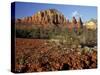 Red Rock Country, Sedona, Arizona, USA-Jamie & Judy Wild-Stretched Canvas