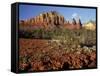 Red Rock Country, Sedona, Arizona, USA-Jamie & Judy Wild-Framed Stretched Canvas