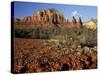Red Rock Country, Sedona, Arizona, USA-Jamie & Judy Wild-Stretched Canvas