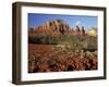 Red Rock Country, Sedona, Arizona, USA-Jamie & Judy Wild-Framed Photographic Print