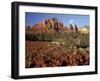 Red Rock Country, Sedona, Arizona, USA-Jamie & Judy Wild-Framed Photographic Print