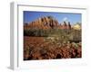 Red Rock Country, Sedona, Arizona, USA-Jamie & Judy Wild-Framed Photographic Print