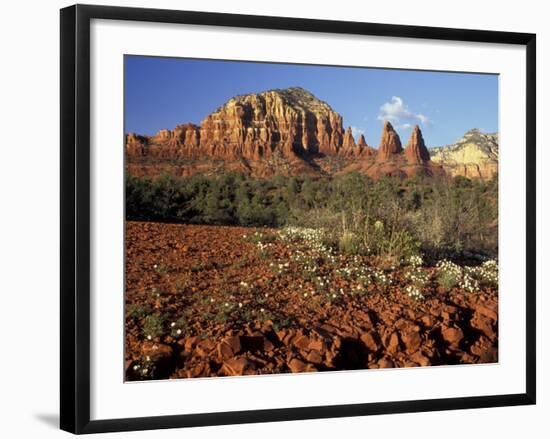 Red Rock Country, Sedona, Arizona, USA-Jamie & Judy Wild-Framed Photographic Print