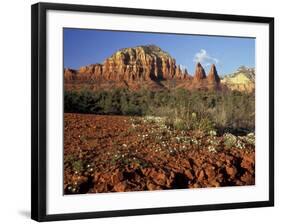 Red Rock Country, Sedona, Arizona, USA-Jamie & Judy Wild-Framed Photographic Print