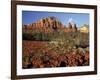 Red Rock Country, Sedona, Arizona, USA-Jamie & Judy Wild-Framed Photographic Print