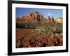 Red Rock Country, Sedona, Arizona, USA-Jamie & Judy Wild-Framed Photographic Print