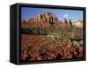 Red Rock Country, Sedona, Arizona, USA-Jamie & Judy Wild-Framed Stretched Canvas