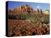 Red Rock Country, Sedona, Arizona, USA-Jamie & Judy Wild-Stretched Canvas