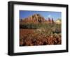 Red Rock Country, Sedona, Arizona, USA-Jamie & Judy Wild-Framed Photographic Print