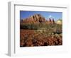 Red Rock Country, Sedona, Arizona, USA-Jamie & Judy Wild-Framed Photographic Print