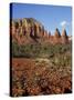 Red Rock Country with Spring Flowers, Sedona, Arizona, USA-Jamie & Judy Wild-Stretched Canvas