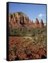 Red Rock Country with Spring Flowers, Sedona, Arizona, USA-Jamie & Judy Wild-Framed Stretched Canvas