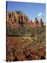 Red Rock Country with Spring Flowers, Sedona, Arizona, USA-Jamie & Judy Wild-Stretched Canvas