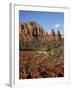 Red Rock Country with Spring Flowers, Sedona, Arizona, USA-Jamie & Judy Wild-Framed Photographic Print