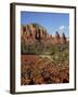 Red Rock Country with Spring Flowers, Sedona, Arizona, USA-Jamie & Judy Wild-Framed Photographic Print