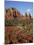 Red Rock Country with Spring Flowers, Sedona, Arizona, USA-Jamie & Judy Wild-Mounted Photographic Print